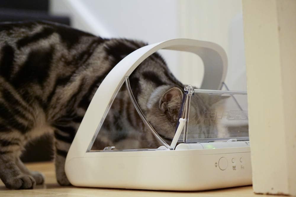 Sure Petcare SureFeed Mikrochip-Futterautomat für Haustiere, mit dichtem Deckelverschluss, kompatibel mit RFID-Halsbandanhänger, geeignet für Nass-