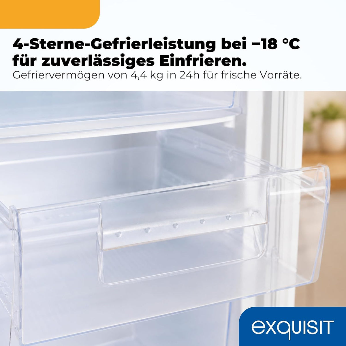 Exquisit Gefrierschrank | 91 l Nutzinhalt, Energieeffizienzklasse E, 40 dB(A) | kompakte Bauform, 4-Sterne-Gefrieren, manuelle Temperaturregelung,
