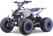 View MINIQuad Infantil 125cc Gasolina automático con Marcha atrás, Azul, Carga máxima 120 kg (Solo para circuitos Cerrados) image 4