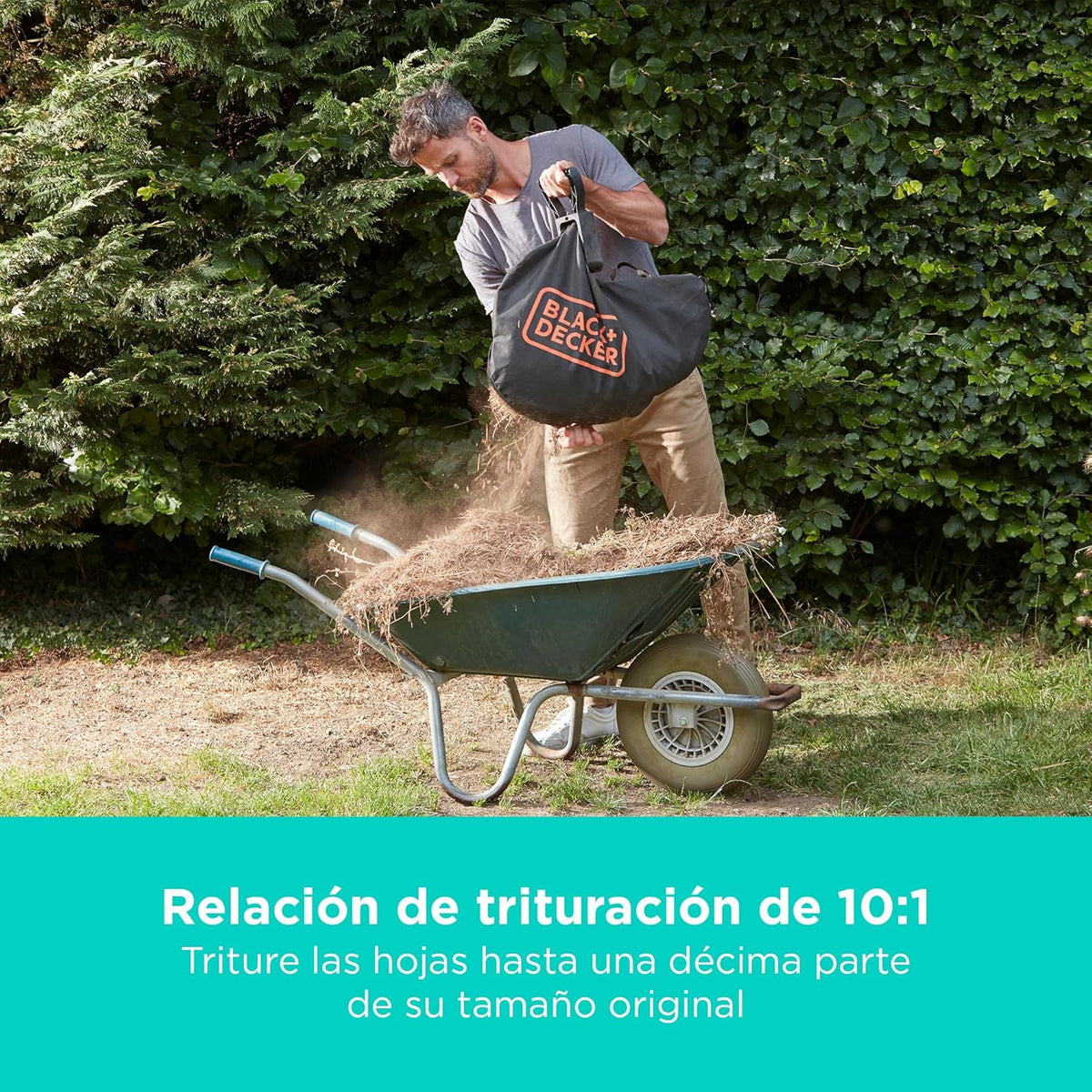 BLACK+DECKER Sopladora, aspiradora y trituradora de Hojas sin Cable de 36v, con Bolsa de recolección de 45L y batería de Litio de 2.5Ah, BCBLV3625L1-
